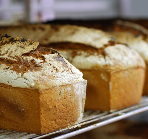 Fournil Kristof, Artisan Boulanger, Pains Bio au Levain Naturel