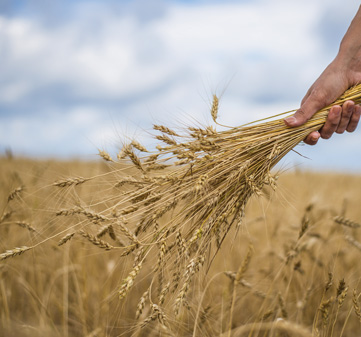 Fournil Kristof - Nos Engagements